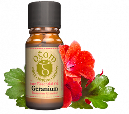 Buy geranium oil online