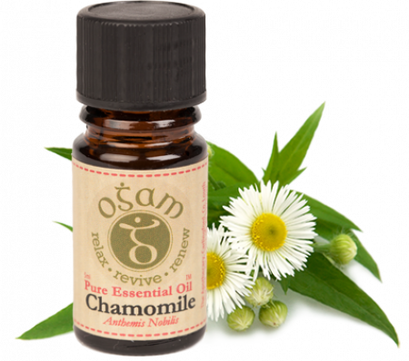 Buy chamomile oil online