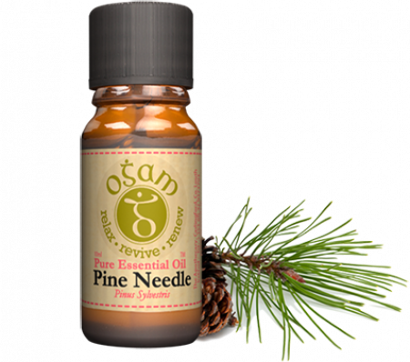 Buy pine oil online