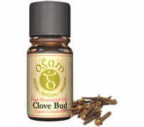 Buy clove oil online