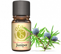 Buy juniper oil online