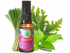 Buy insect repellent essential oil online